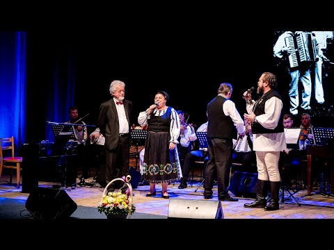 Mariana Deac și Ionuț Fulea - Firule, măi fir de iarbă & Cum să sting eu dorul tău (Live doine Alba)