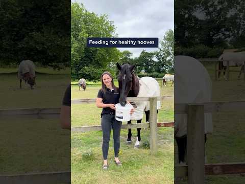 Feeding for Healthy Hooves