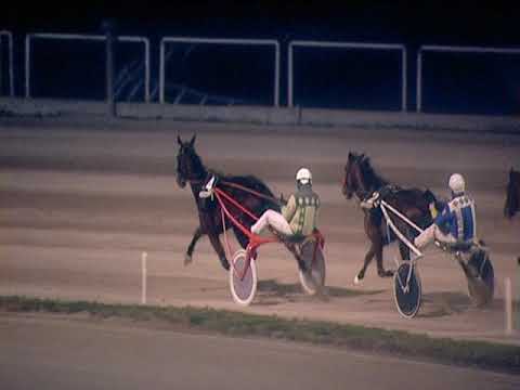 Trotto 31/12/2018 - 7ª corsa