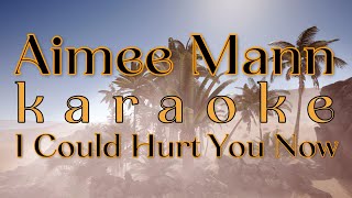 Aimee Mann KARAOKE I Could Hurt You Now