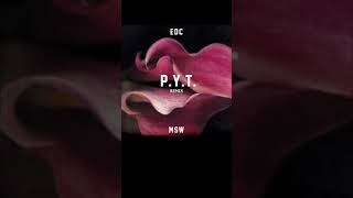 [音樂] 馬思維 ＆ 陳冠希 - P. Y. T. Remix
