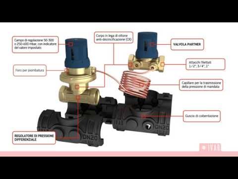 Видеообзор