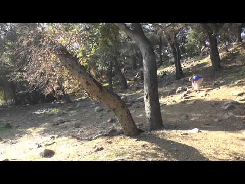 2014 Wintertime Open Round 3 Part 1