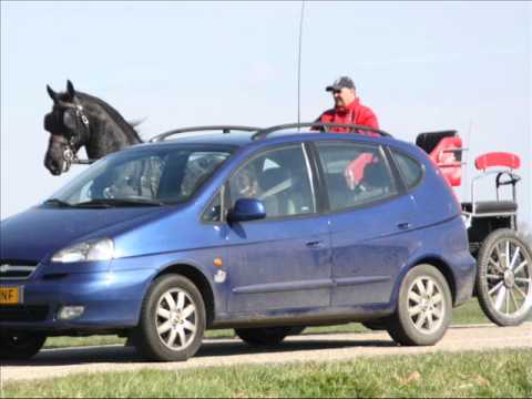 Stal Okkema's Ward v. Fetse (Sold)