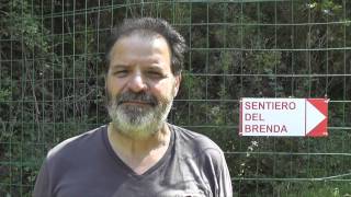 preview picture of video 'Parrano - Inaugurazione Sentiero del Brenda'