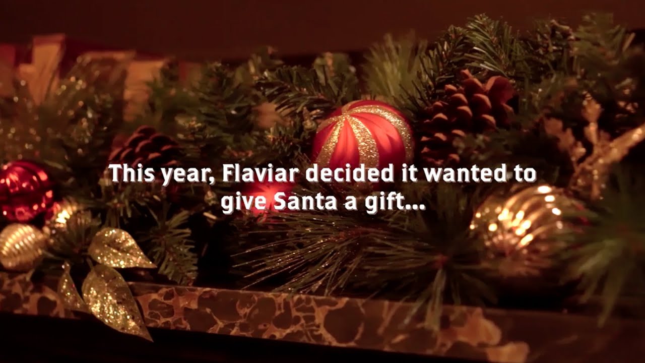 Promotional video thumbnail 5 for Real Beard Santa Joe