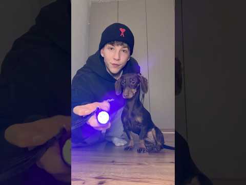 Hat Peppy … an den FÜẞEN?