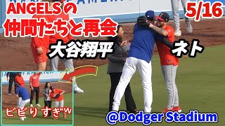 大谷さんエンゼルスの仲間たちと再会🥹デトマ、ネト、アデル、アンダーソン最後ジャンセン（途中飛球にビビる𐤔）