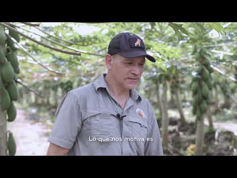Papayas Doradas S.A.