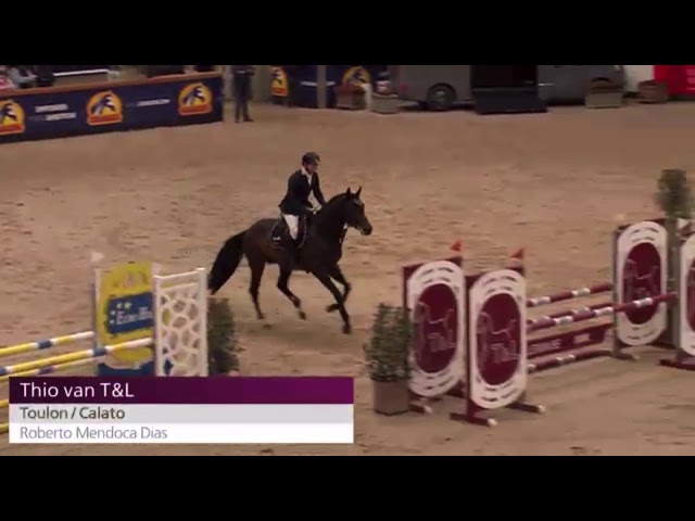 Sire: Thio van T&L