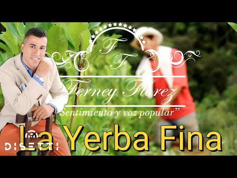 Ferney Florez - La Yerba Fina (Video Lyric) | Música Popular