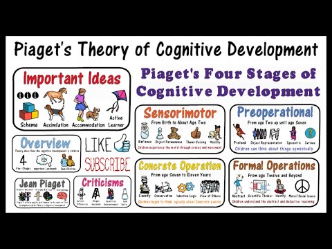 Piaget: Theory of Cognitive Development