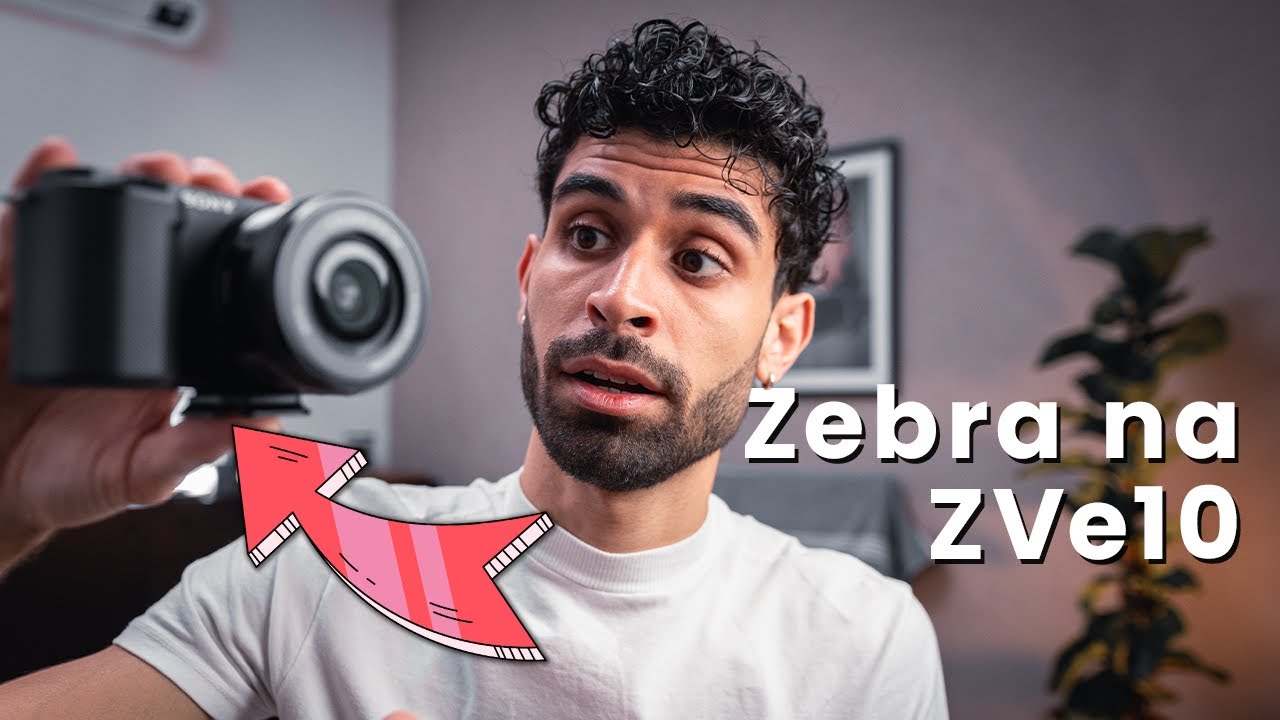 COMO usar Zebra em S Log 2 na Sony ZVe10