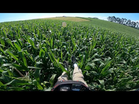 Voo 199 de Parapente IKE Costa - Deu Milho