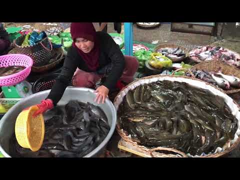 Wonderful Wet Market Scenes - People Activities, Fish, Vegetables, Meat ,Pork, Fruits & More