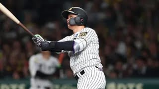 森下翔太、衝撃の129m弾🔥甲子園が震えた“完璧すぎる一撃”#阪神タイガース#森下翔太#ホームラン#プロ野球#甲子園#中日ドラゴンズ#野球ハイライト#神打撃#本塁打王#野球好き