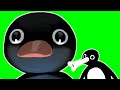 Noot Noot Pingu Meme From Tik Tok Footage Green Screen Download Free