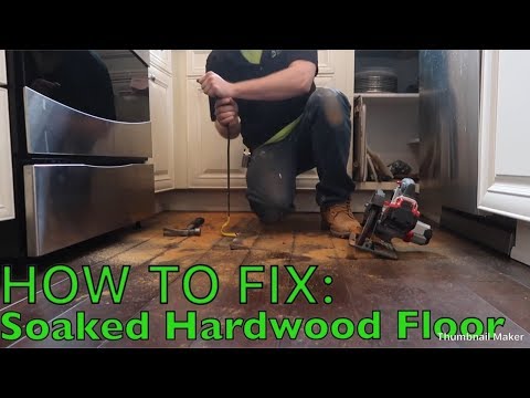 How to Fix Water Damaged Hardwood Floors | Merion Services