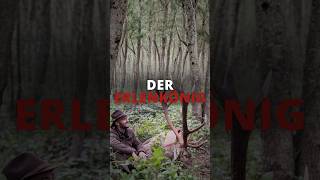 Hirschbrunft in Ungarn 🇭🇺 Der Erlenkönig von  ⁨@Huntingroom⁩
