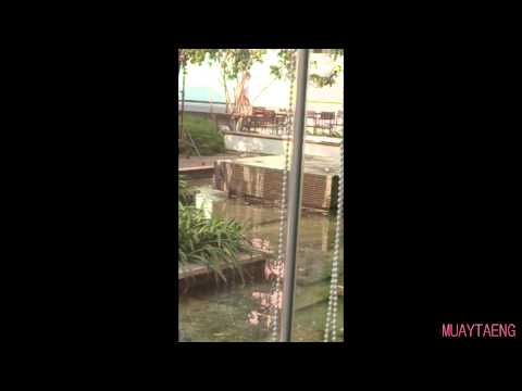 [FANCAM] 140409 Taeyeon at CDC Shooting B-ing 2 #WelComeTaeyeonToThailand