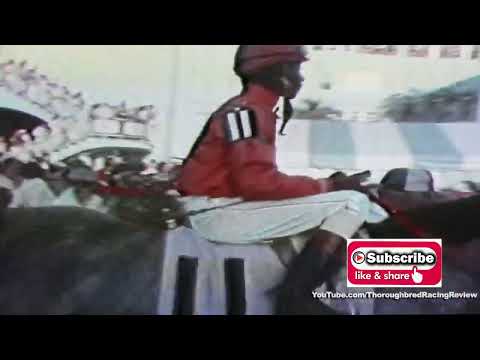 1981 FLORIDA DERBY   LORD AVIE vs  PLEASENT COLONY