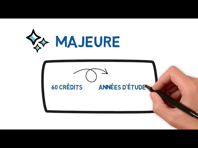 Quels sont les types de programmes au 1er cycle?