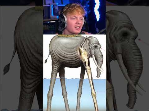 Proof We Weren’t Alone! 😨