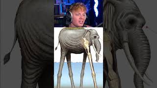 Proof We Weren’t Alone! 😨