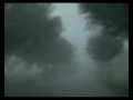 03 07 2009 Unwetter Niedersachsen Unwetterartiger Starkregen Bei Steinhude Lk Hannover