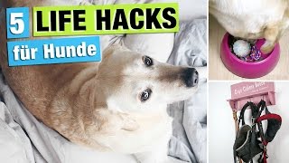 5 DOG LIFE HACKS für Hundehalter | Hund Lifehacks deutsch | dog owner