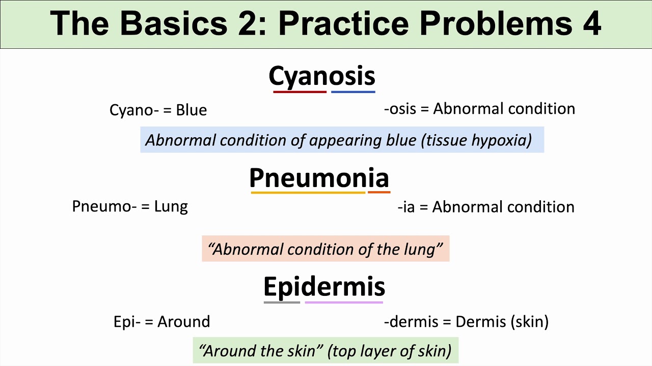 Medical Terminology – The Basics – Lesson 1 | Practice Problems Set 2