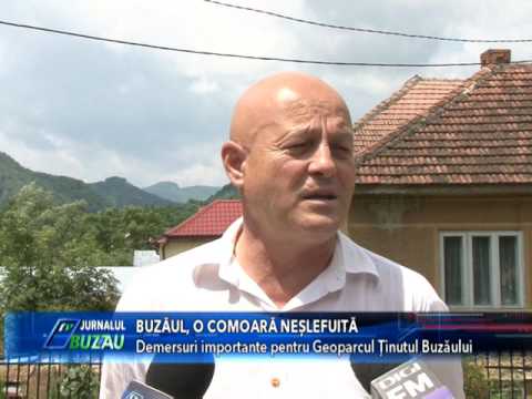 BUZAUL O COMOARA NESLEFUITA