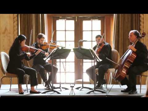 Mozart: Quartet in D major, K. 575 1st movement: Allegretto (Delray String Quartet)
