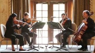 Mozart: Quartet in D major, K. 575 1st movement: Allegretto (Delray String Quartet)