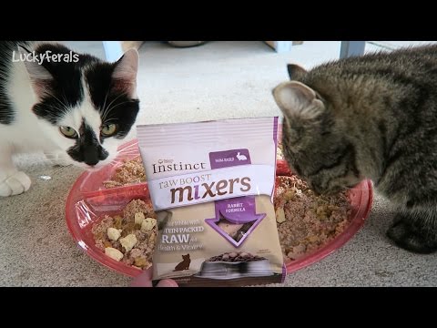 Cats React To Nature's Variety Instinct Raw Mixers Cat...