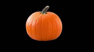 I Love Fall (CVI Video) gameplay video by HDOTDEPT, 2:59 duration