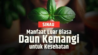 Download lagu Mulai Sekarang  Jangan Buang Daun Kemangi, Ini Manfaat yang Bisa Didapat | SIINAU mp3