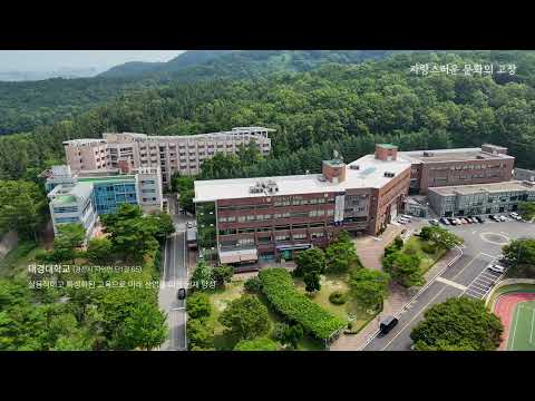 하늘에서 본 경산시 자인면