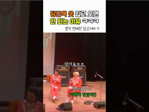 비디오 16