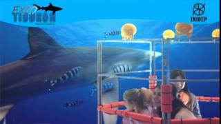 DIA 3 Expo Tiburon68