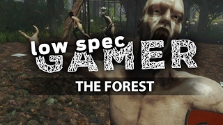 The Forest, FPS Boost on low end PC