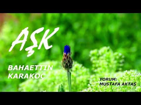 AŞK -  BAHAETTİN KARAKOÇ