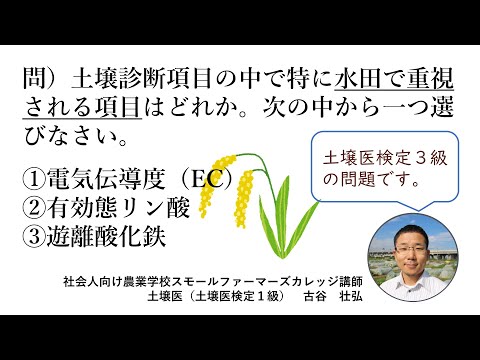 土壌医検定３級問題解説シリーズ【水田の土と病害の関係】