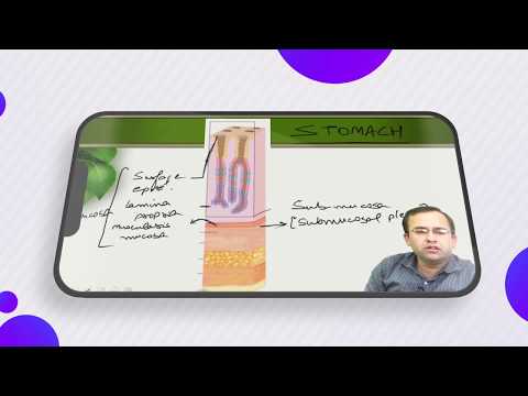 DNA : For NEET- PG I NEET- SS 