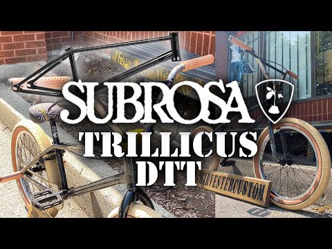 SUBROSA TRILLICUS DOUBLE TOP TUBE FRAME BUILD @ HARVESTER BIKES