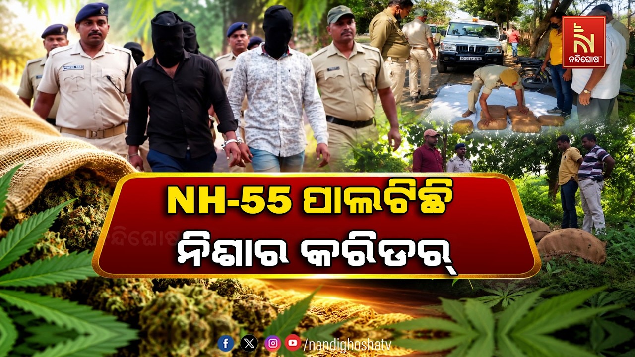 ଦାମୀ ଗାଡ଼ିରେ ଗଞ୍ଜେଇ ଚାଲାଣ ; NH-55 ପାଲଟିଛି ନିଶାର କରିଡର୍