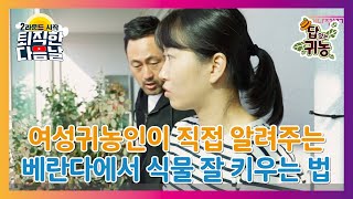 귀농인의 TIP, 베란다에서 식물 기르는 법(feat. 죽이지 않는 법...)