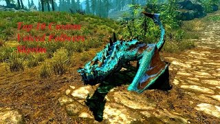 Skyrim-Top 10 custom Voiced Follower mods