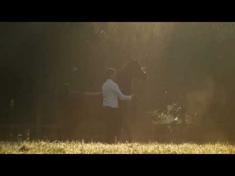 SIDARTA AS - Budhen's Stud