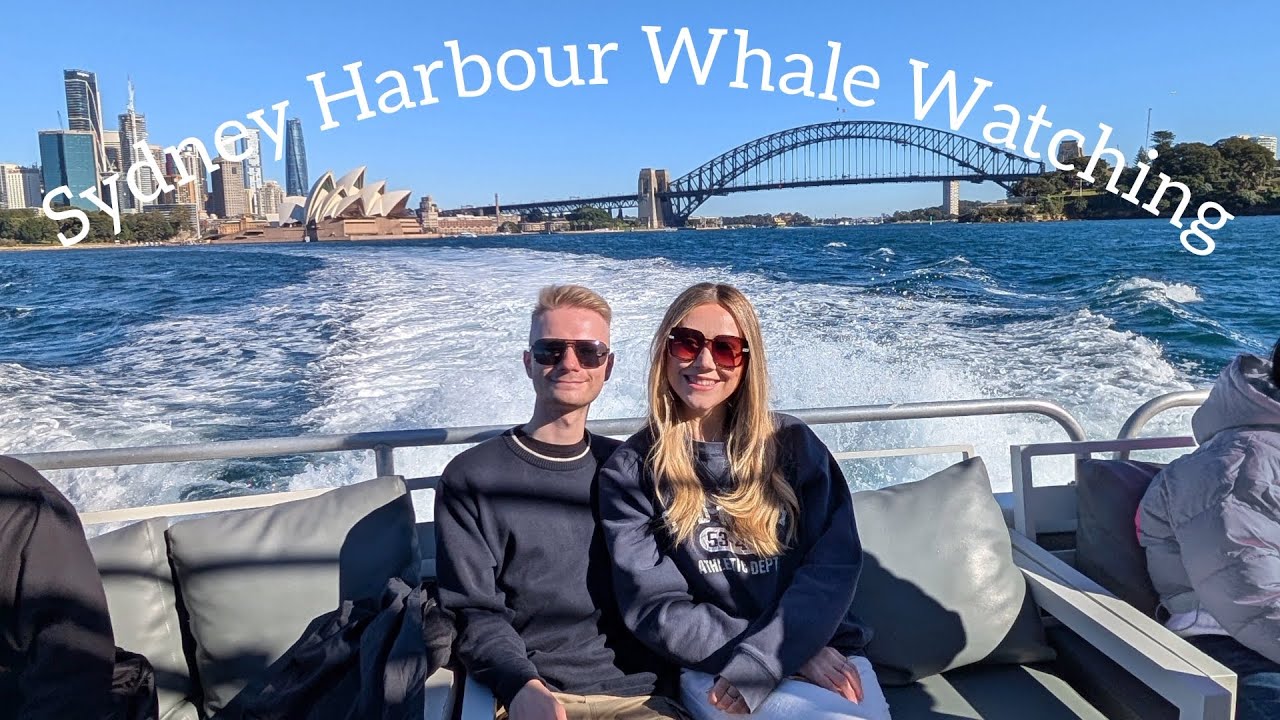 Join a duo as they experience whale watching in Sydney.